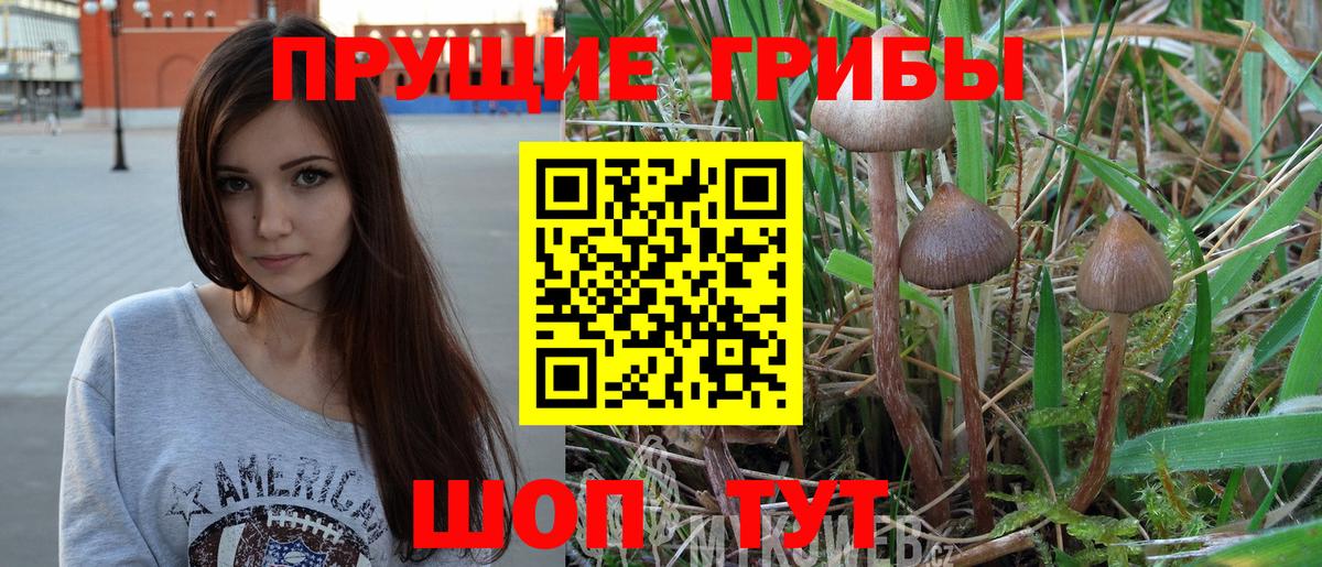 Галлюциногенные грибы Cubensis  Вход с VPN  Псилоцибиновые грибы Psilocybine cubensis  Рузаевка 